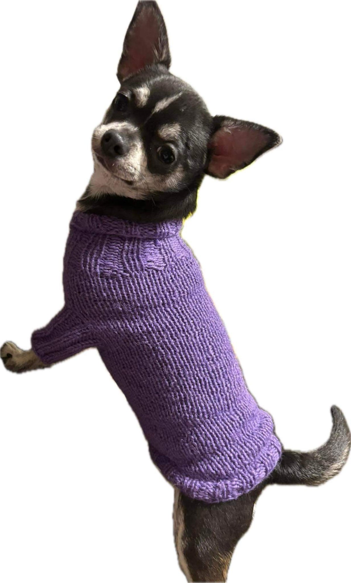 Purple Knitted Dog Jumper — main view